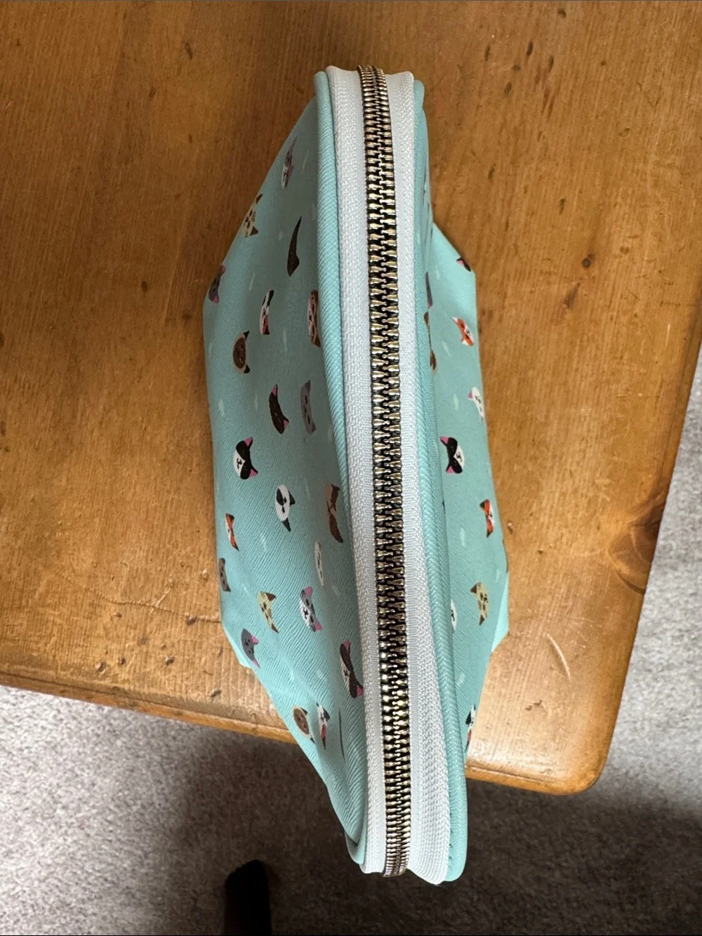 Cat make up bag easy access blue